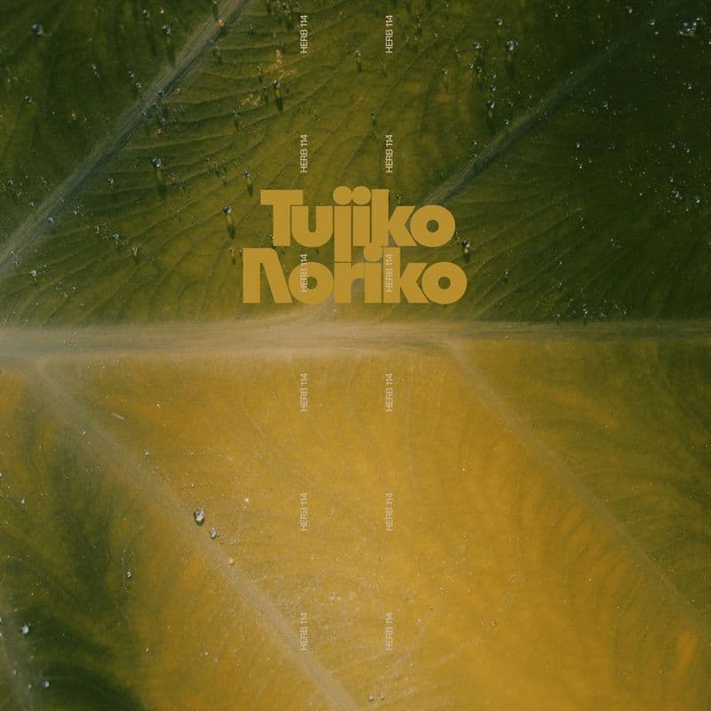 Herb Sundays 114: Tujiko Noriko