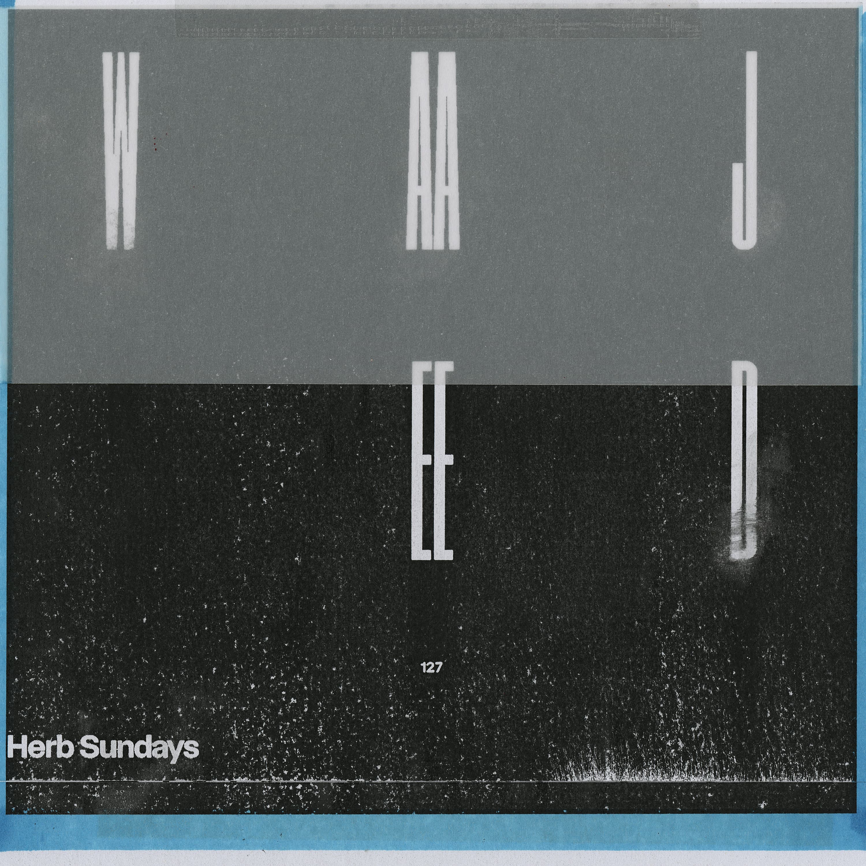 Herb Sundays 127: Waajeed