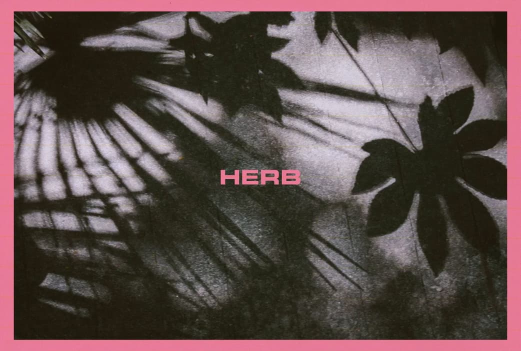 Herb Sundays: The Biggish '80s