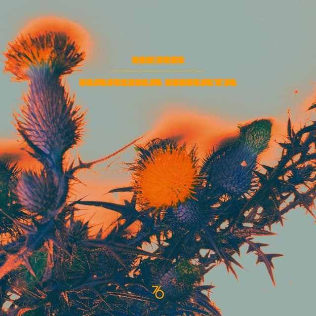 Herb Sundays 76: Haruka Hirata (Big Love Records)