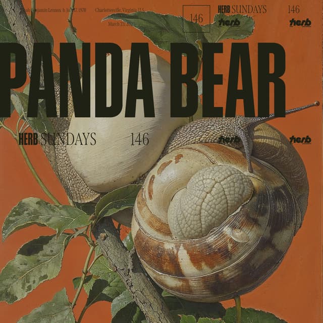 Herb Sundays 146: Panda Bear