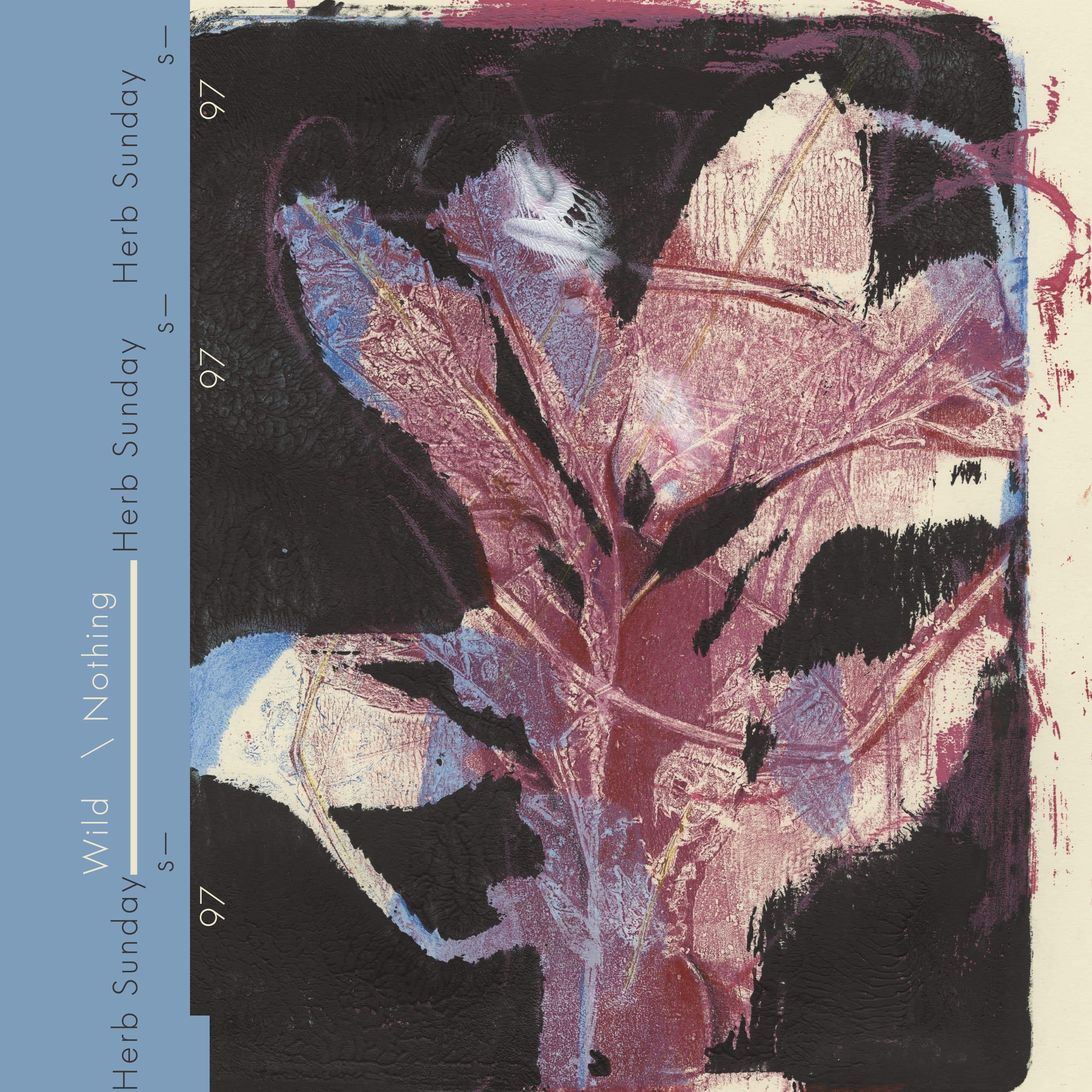 Herb Sundays 97: Wild Nothing