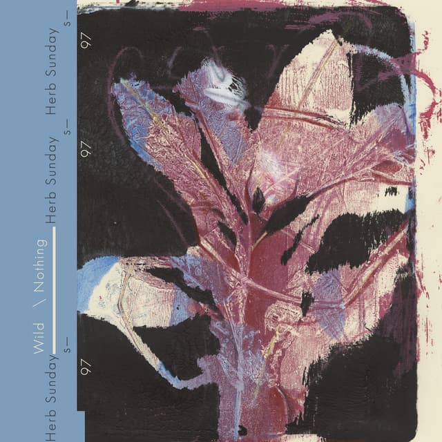 Herb Sundays 97: Wild Nothing