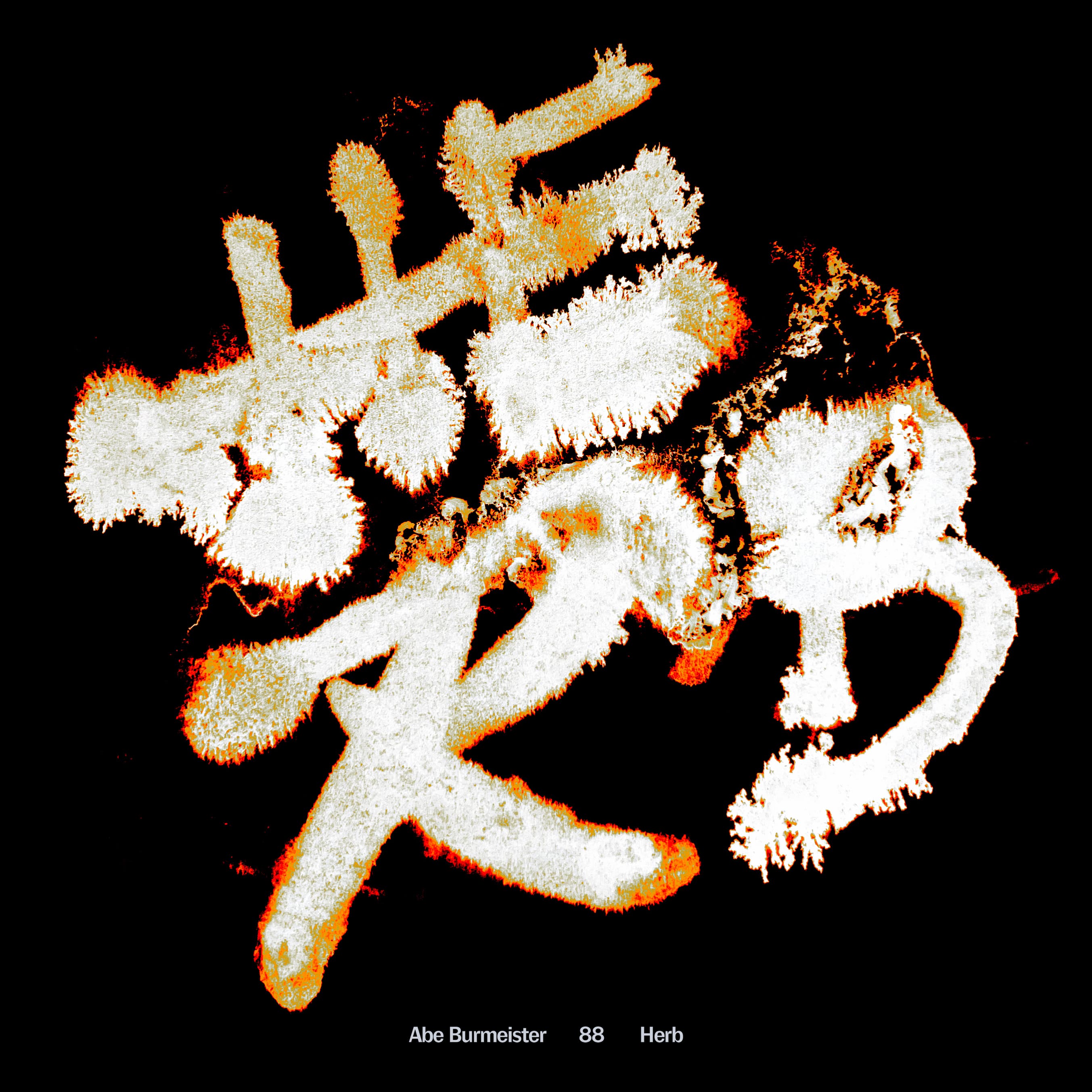 Herb Sundays 88: Abe Burmeister