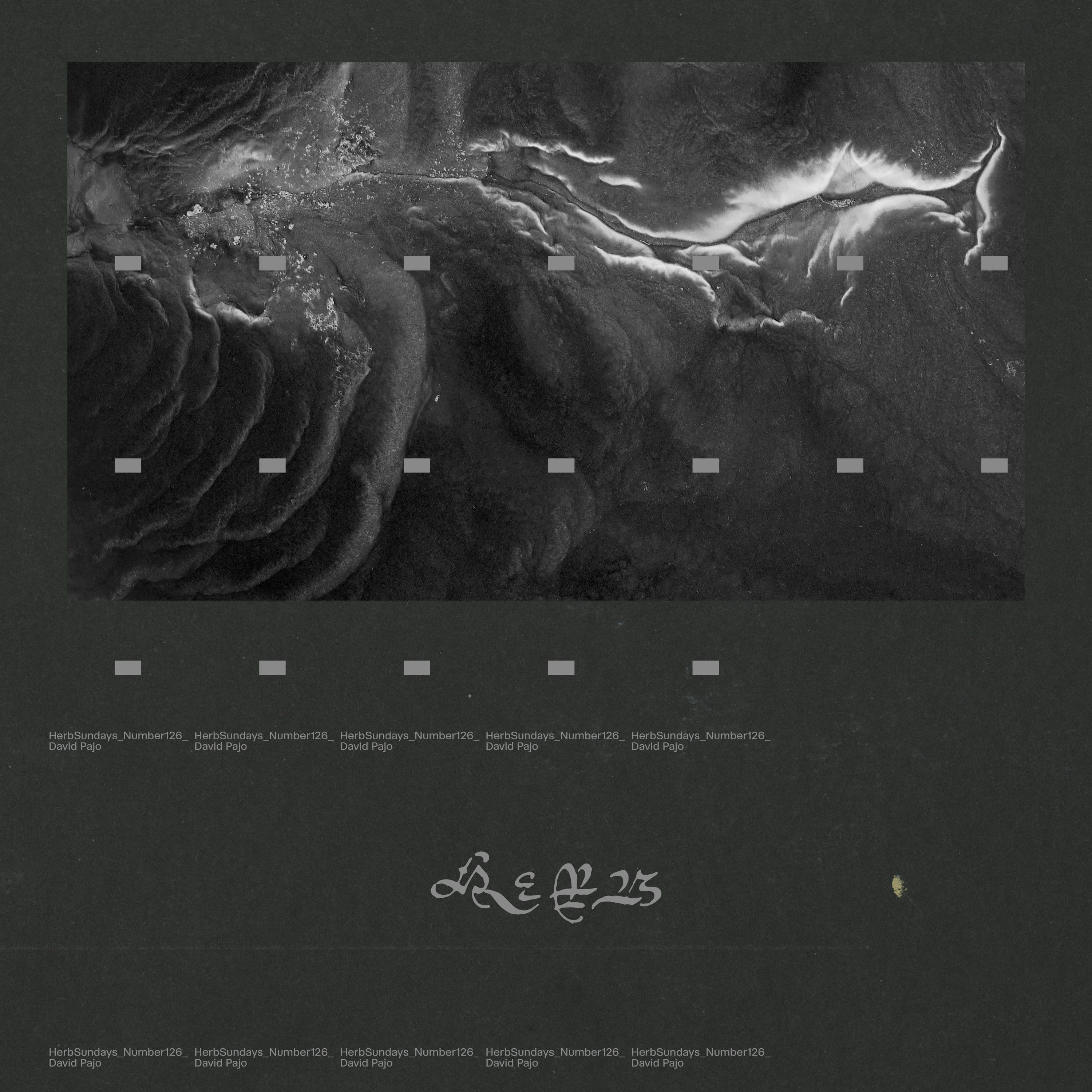 Herb Sundays 126: David Pajo