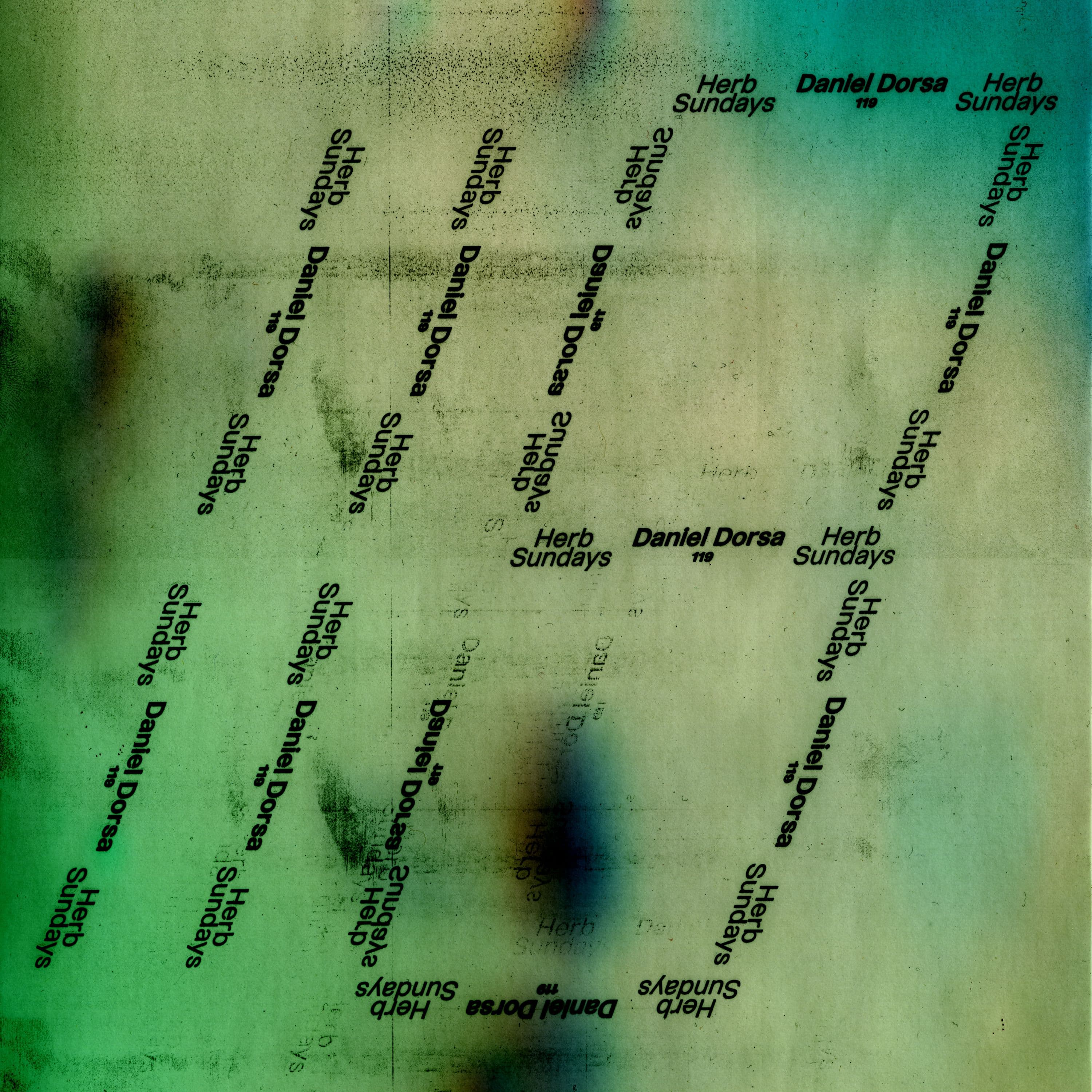 Herb Sundays 119: Daniel Dorsa